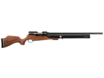 Big Bore Air Rifle