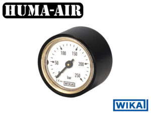 Wika mini pressure gauge 28 mm White Dial 250 bar G1_8